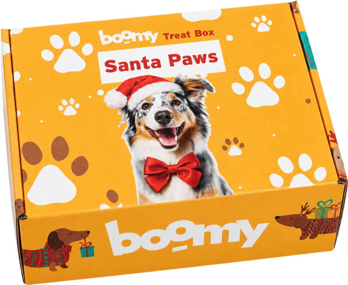 Boomy - Santa Paws Kerstpakket - Pakket met hondensnacks, hondensnoepjes, hondenspeelgoed, hondenvoer - 1st