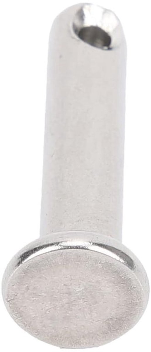 RVS cilindrische pen met platte kop, sleufpennen 6 x 25 mm, 50 stuks.