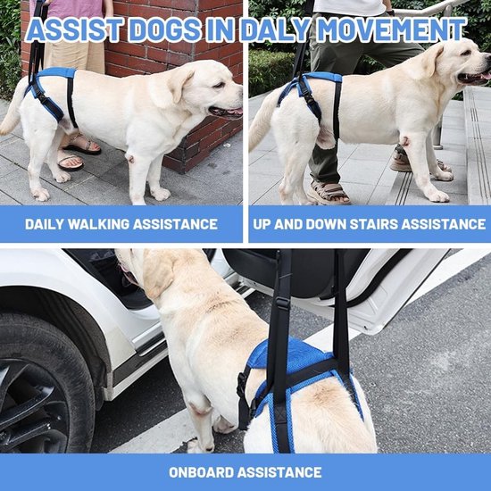 Draagriem voor Honden met Handvat, Trapsteun voor Oudere en Gehandicapte Honden, Verstelbare Ondersteuningsharnas voor Lame Honden (M) — afbeelding 3