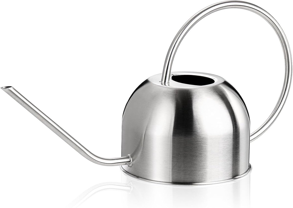 1,5 liter roestvrijstalen gieter, metaal, bloemengieter met lange tuit, plantengieter, klein, voor planten, kantoor, tuin, zilver
