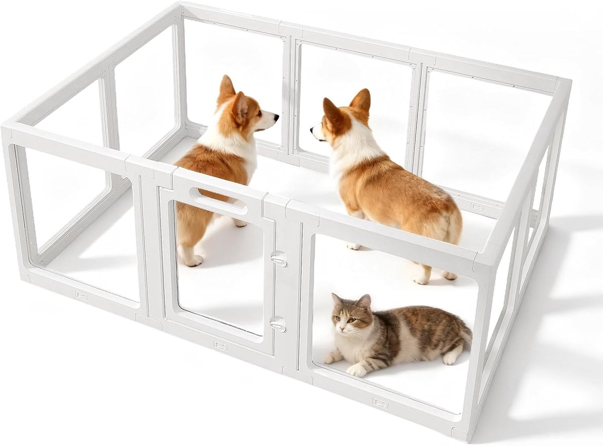 Acryl puppyuitloop, 10 panelen van 60 cm, transparante hondenpen, draagbaar puppyhok voor kleine en middelgrote honden, binnen en buiten gebruik (150 x 100 x 60 cm)