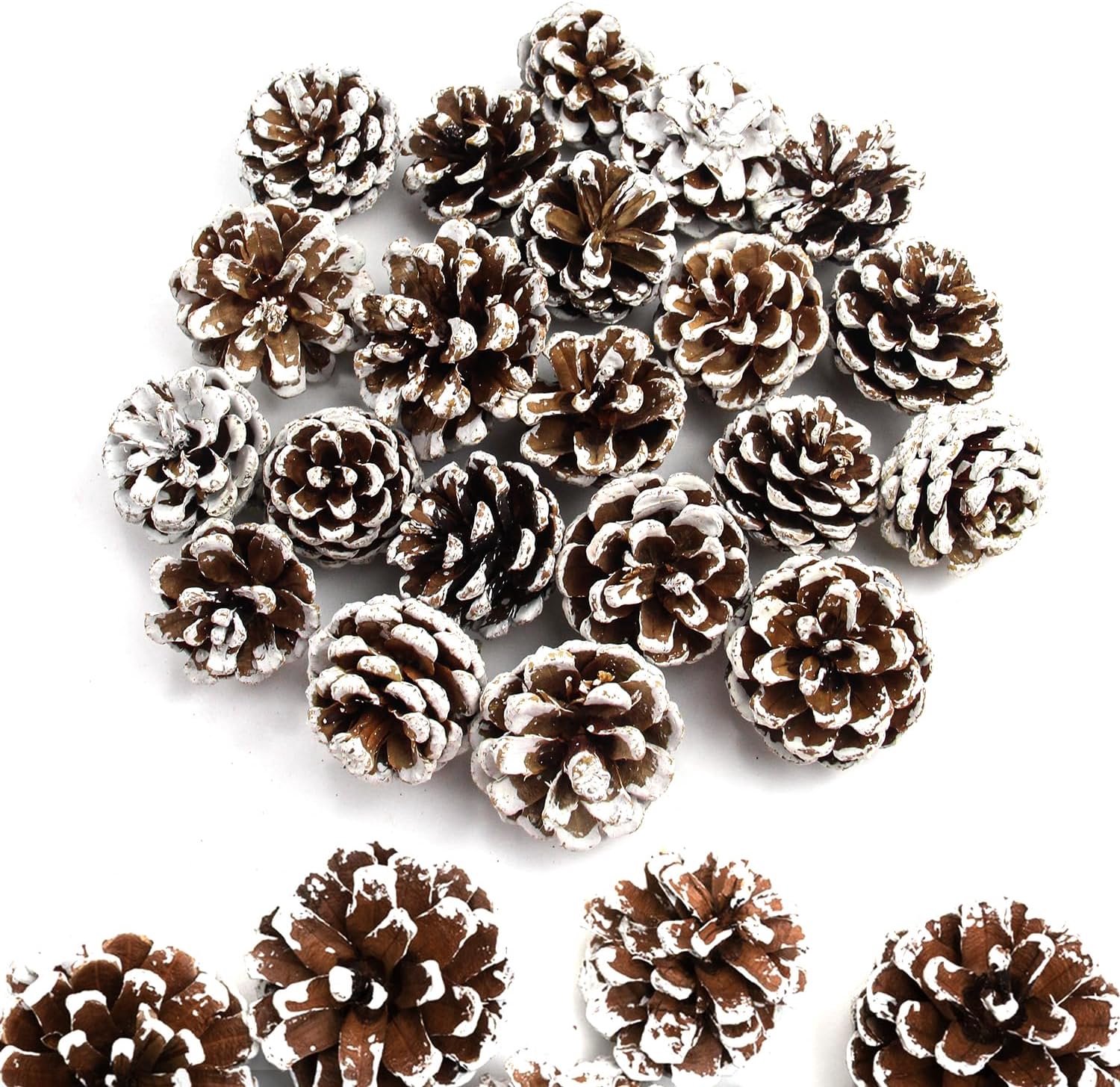 32 stuks mini-kerstdennenappels natuurlijke dennenappels 3-4 cm decoratie dennenappels geschikt voor doe-het-zelf - Homevero