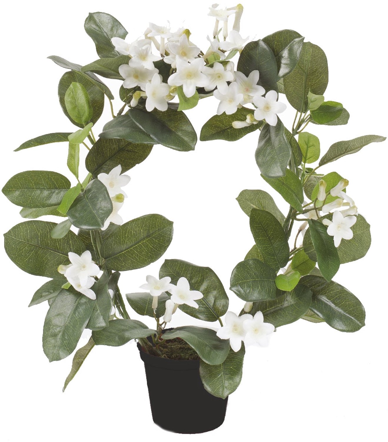 Emerald Kunstplant in pot Stephanotis Ring wit 40cm - Kunstplant voor binnen