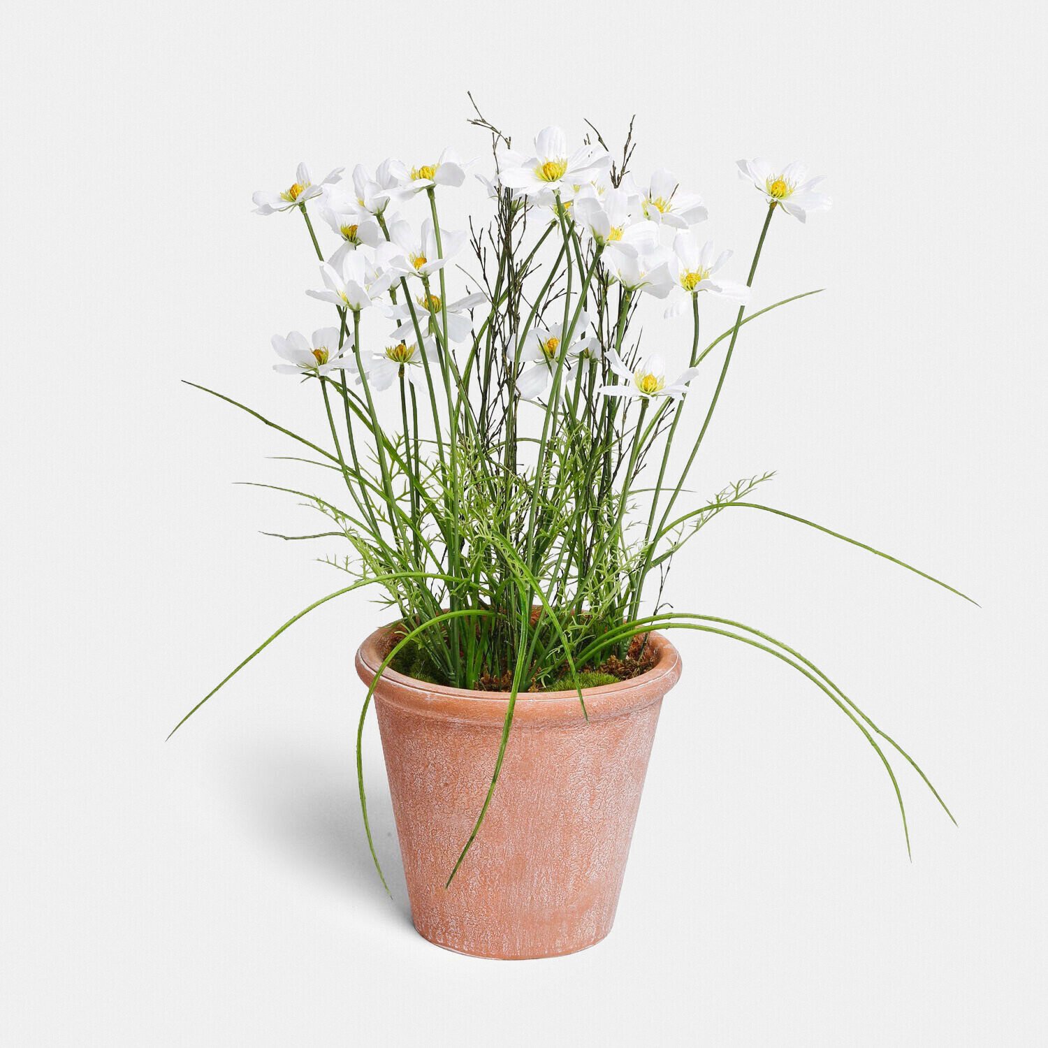 Loberon Decoratieve potplant Harmoise wit/groen/geel