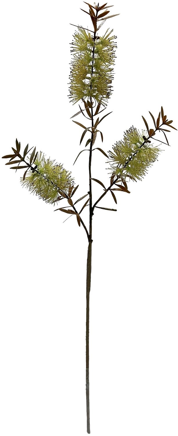 homebound by ky Kunsttak Banksia 75cm off-white Beige