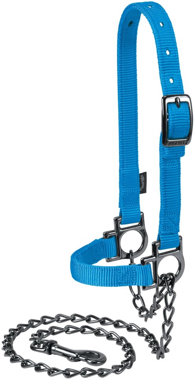 Verstelbare Schapendumbbell met Ketting