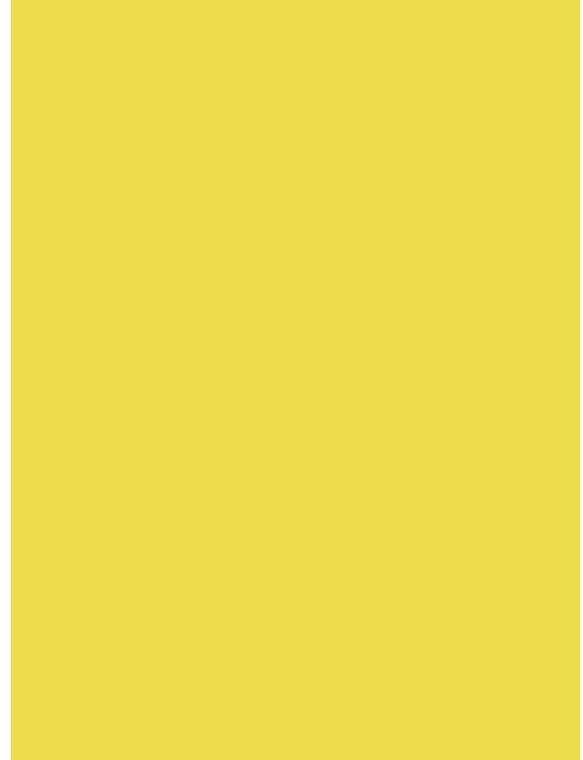 Gekleurd Poster Papier - 90 g/m² - 25 Vellen Lemon Geel