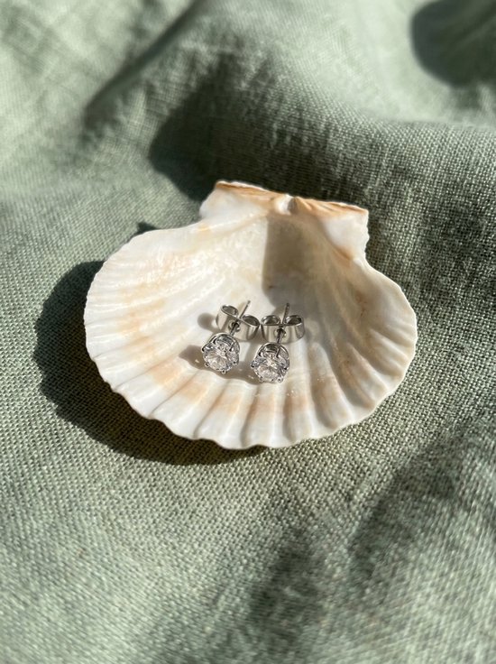 Zilverkleurige zirkonia oorknopjes gepresenteerd in een schelp op een groen textieloppervlak.