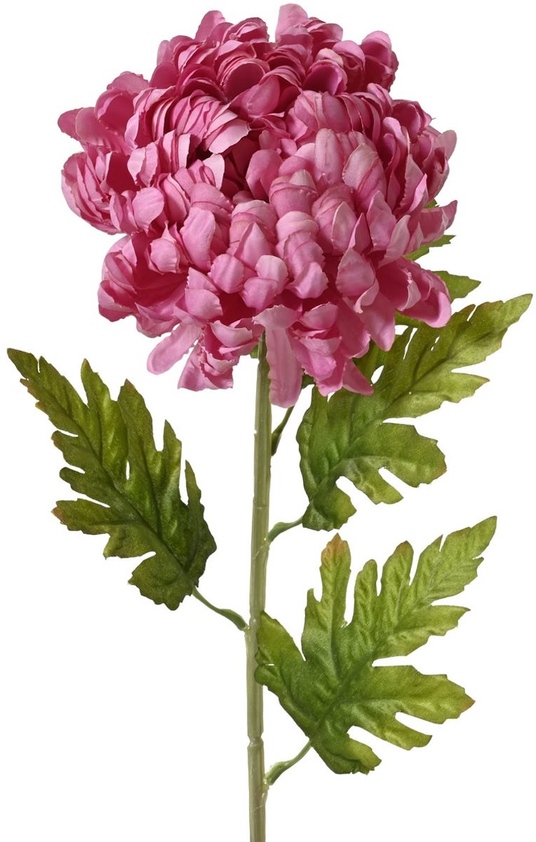 Everlands Chrysant Grootbloemig Roze O 15 cm 74 cm - Kunstbloem