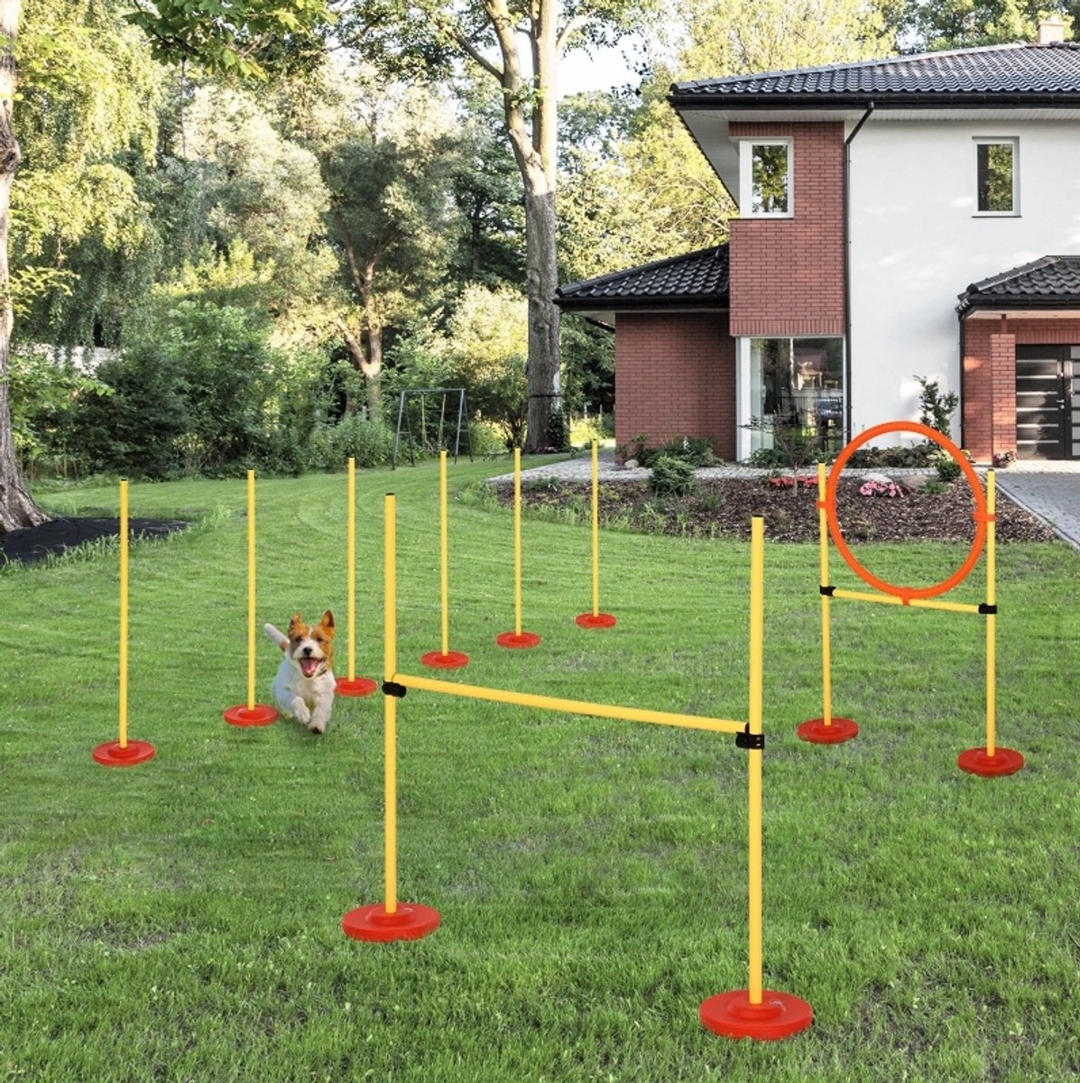 MODFU - Honden Agility Set - Horde - Slalom - Springring - Verstelbare Hoogte - Geel