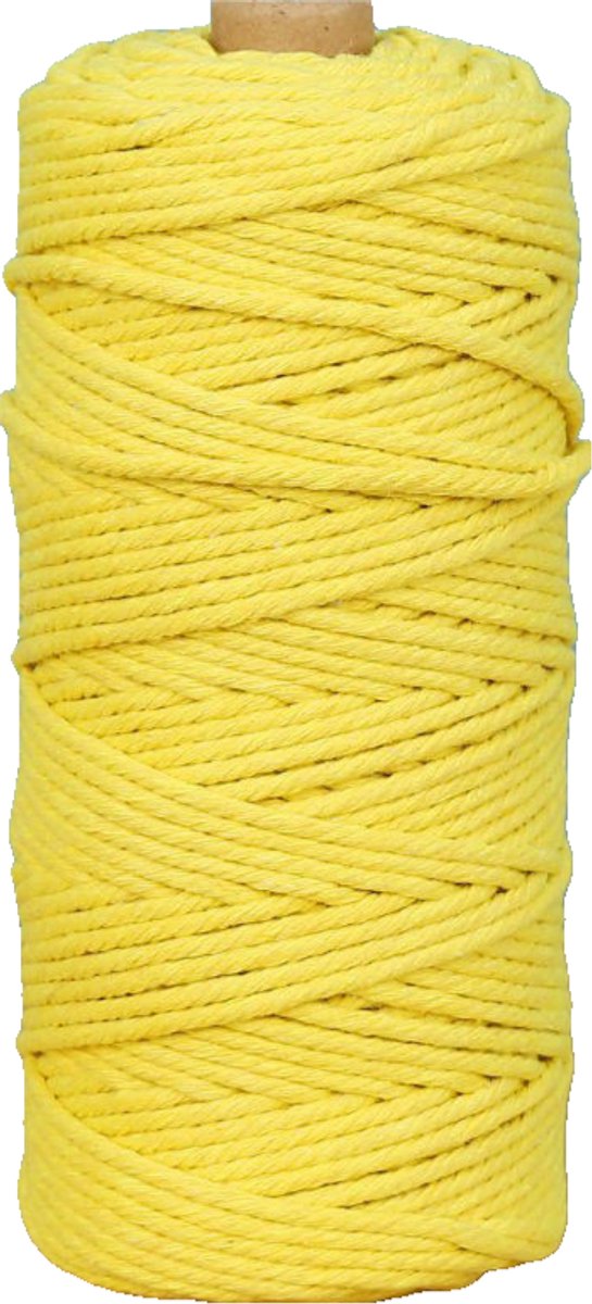 Macramétouw 3 mm x 100 m, natuurlijk katoenen draad voor wanddecoratie, plantenhangers, boho-decoratie,geel
