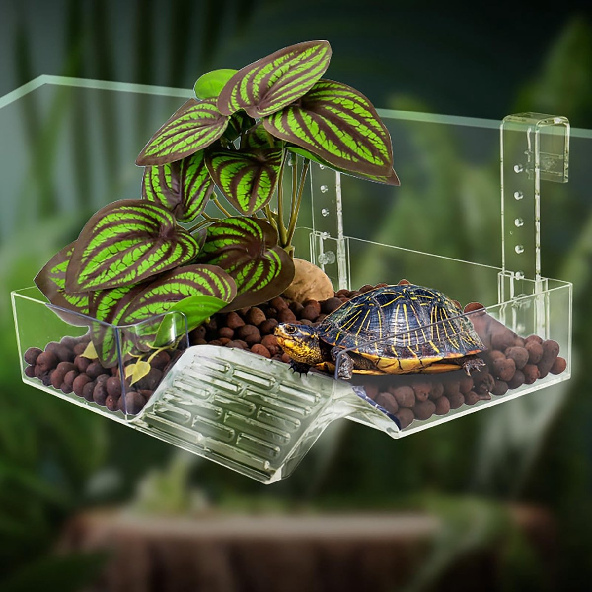 Elzusha - Schildpad Platform voor Terrarium