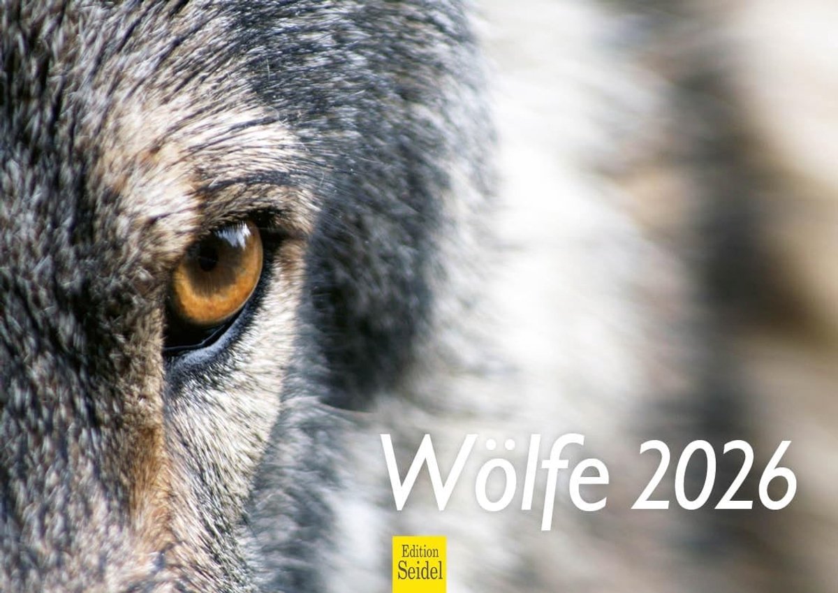 Elzusha - Wandkalender - Wolven - 2026 - A4