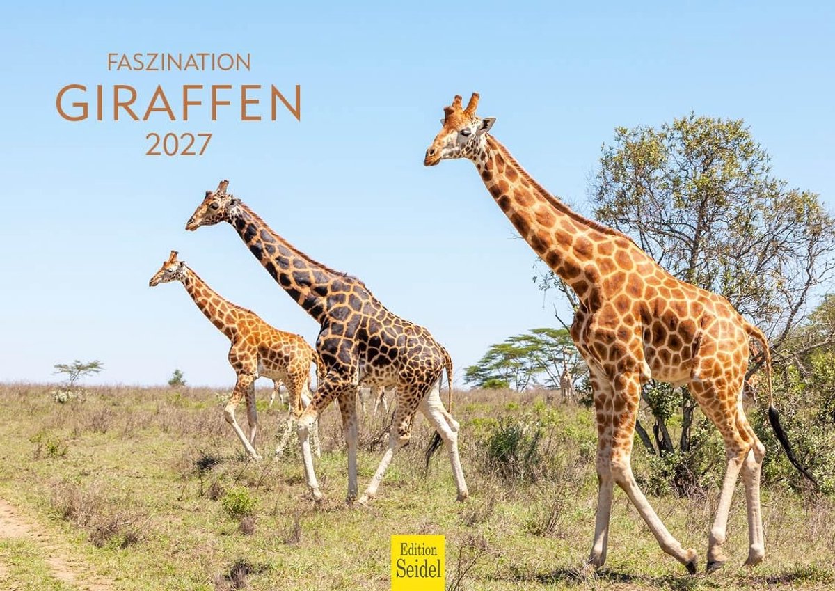 Elzusha - Wandkalender 2027 - Fascinatie giraffen in Afrika