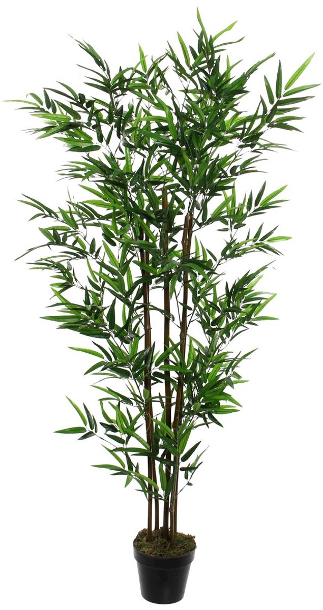 Mica Decorations Bamboe Kunstplant - H155 x Ø90 cm - Groen
