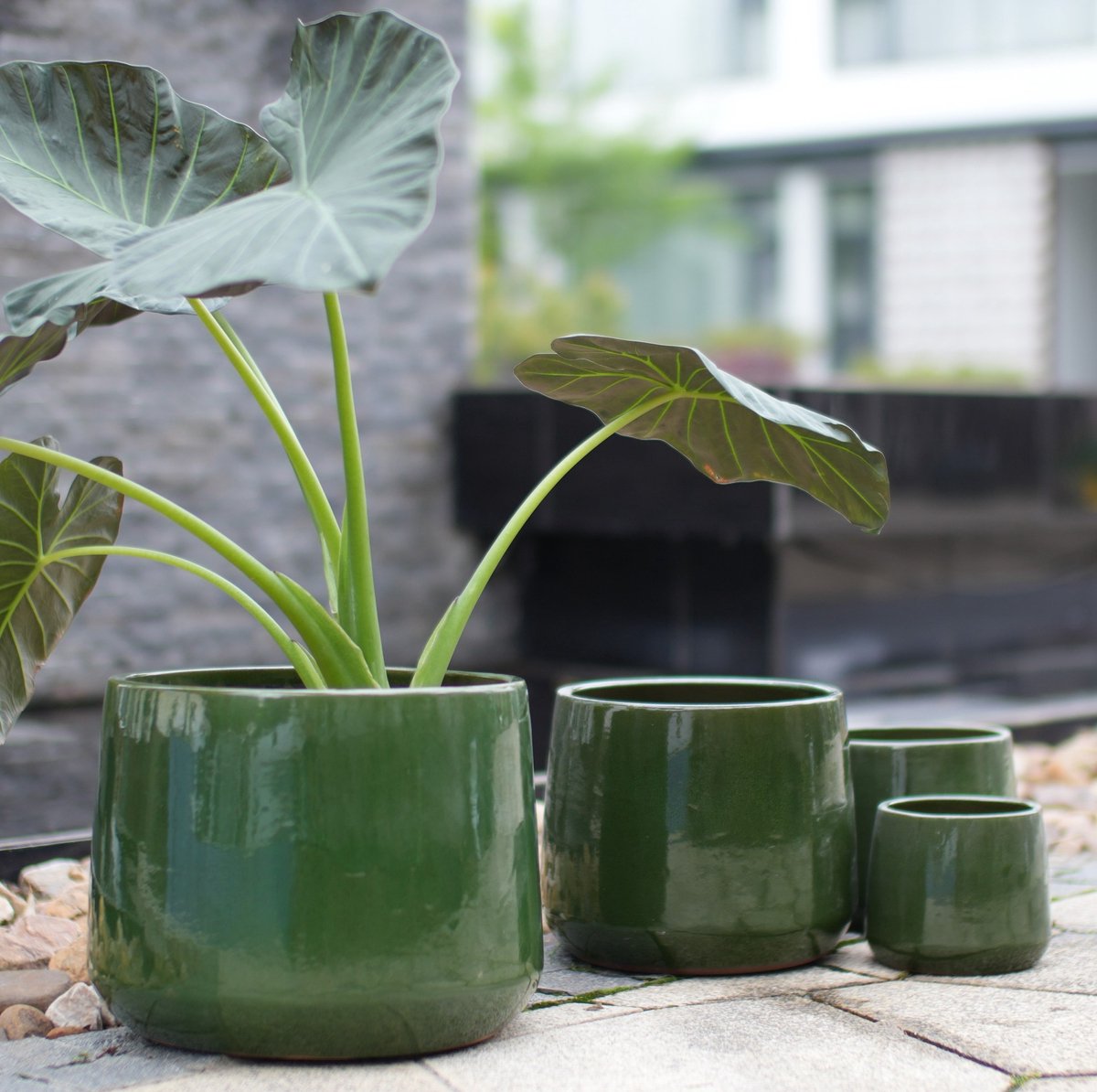 Bloempot Set – 4-Delig – Ø 33/26/20/15 cm – Keramiek – Antiekgroen – Hoogglans – Voor Binnen en Buiten