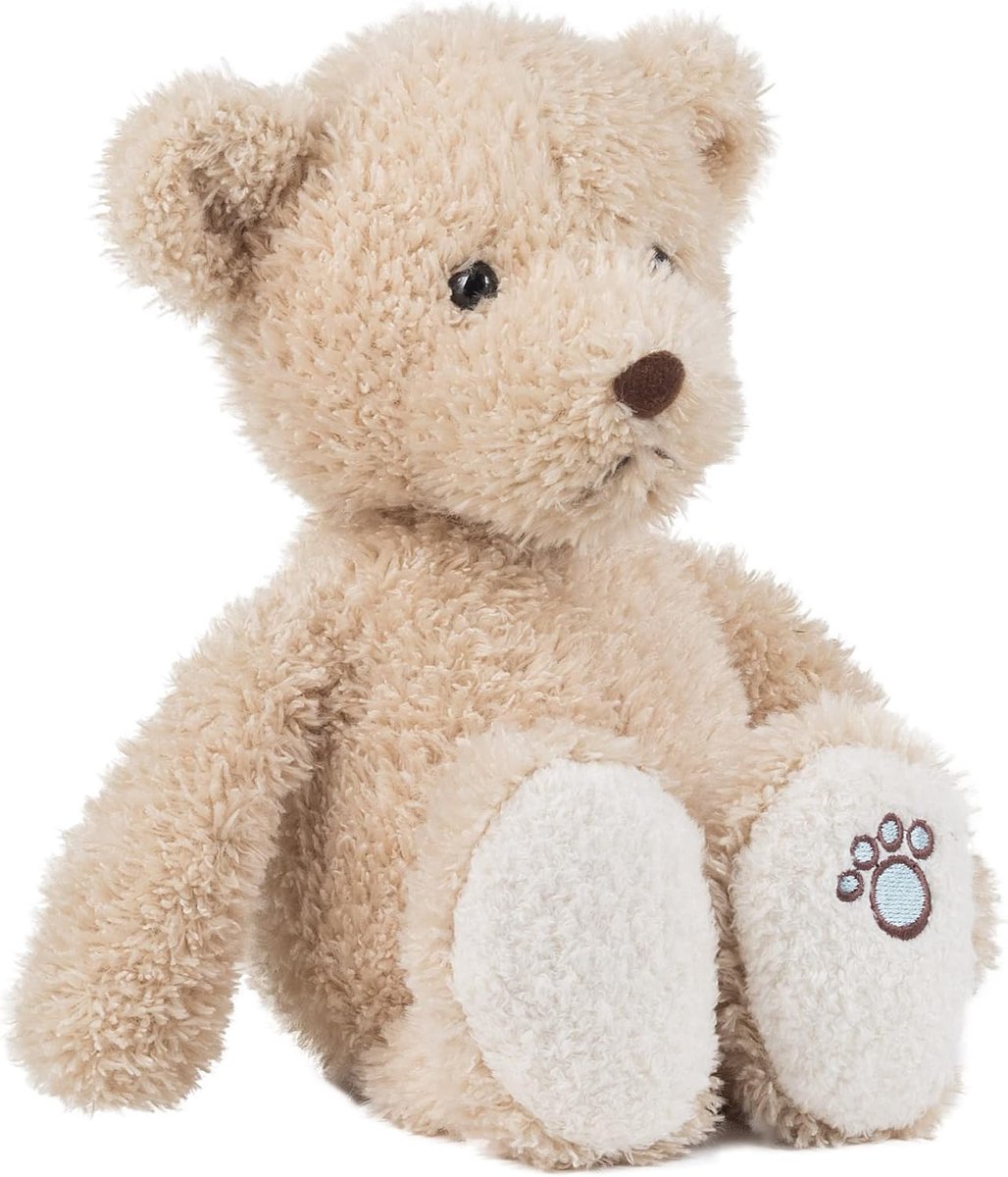2181 pluche teddybeer Luca 26 cm