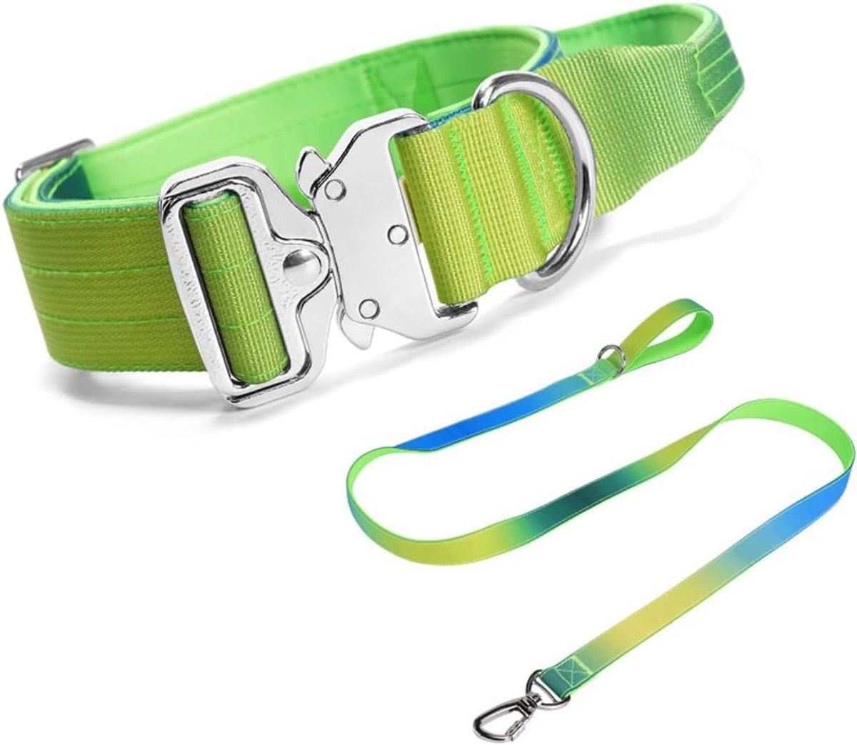 hondenhalsband met hondenriem set (groen/blauw, kleurverloop, M)