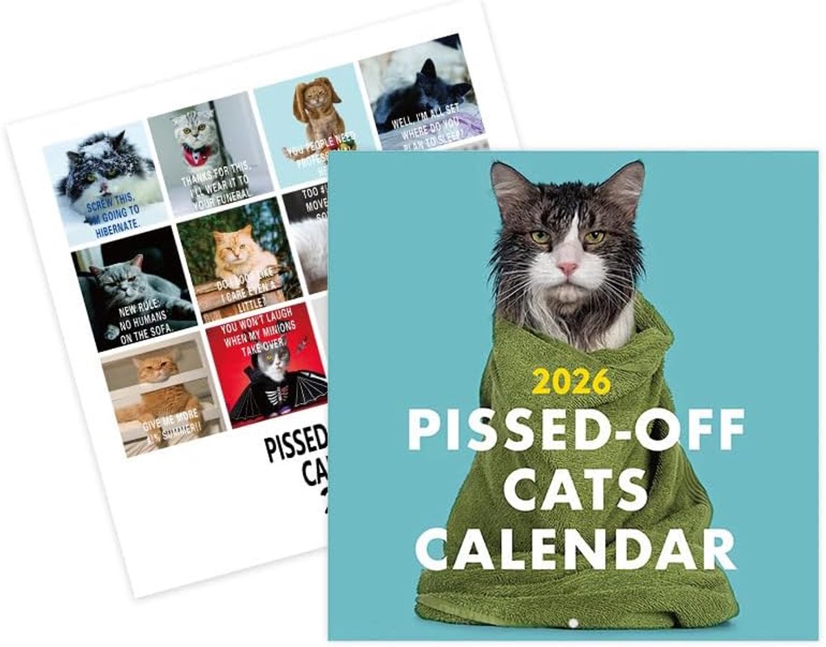2026, kalender 2026, wandkalender katten PISSED-OFF CATS kalender 2026, kattenkalender 2026, wandkalender katten, tafelkalender 2026 voor kantoor, gezinnen, hotels (28 x 28 cm)