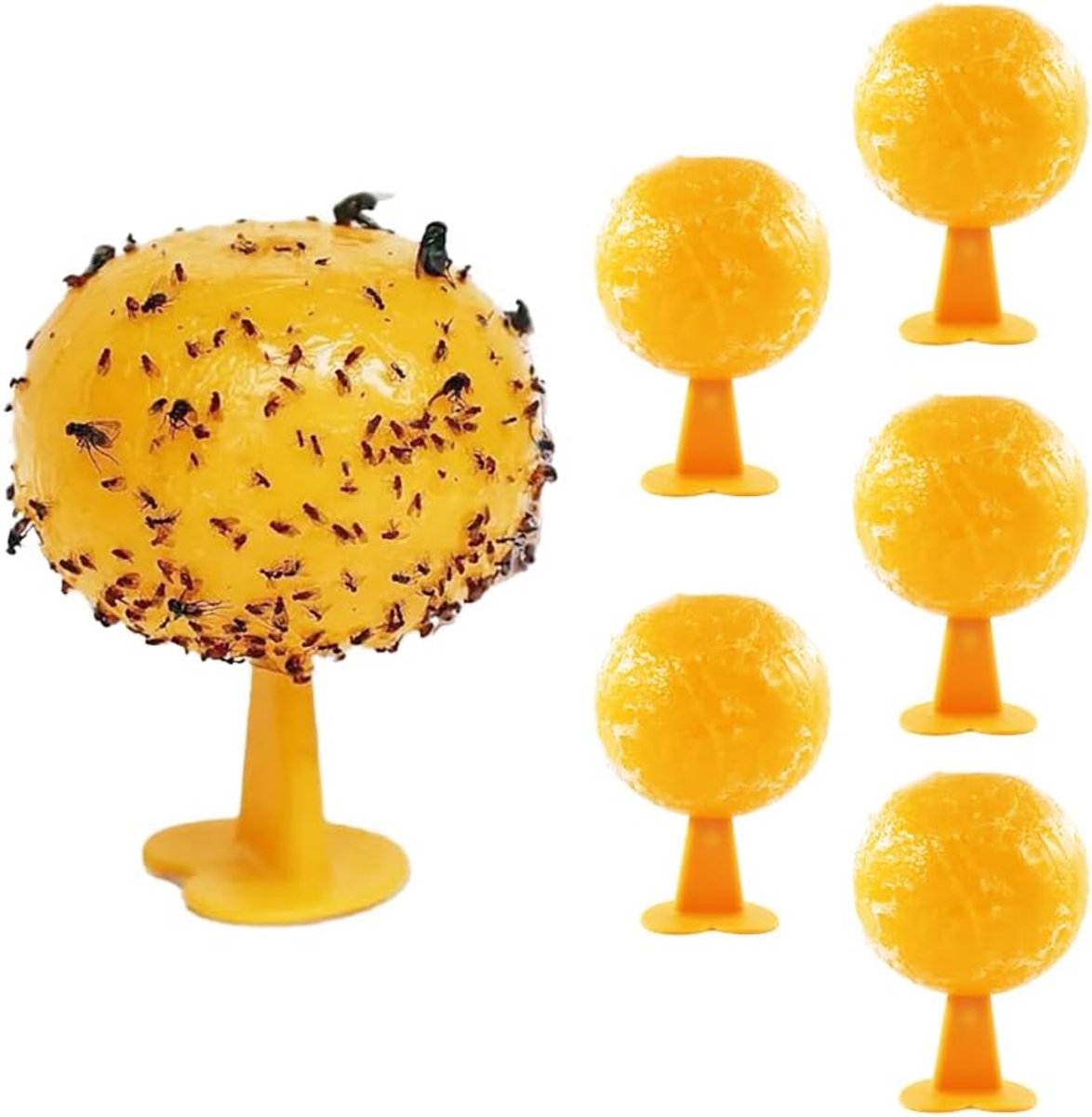 6 ballen, fruitvliegenval