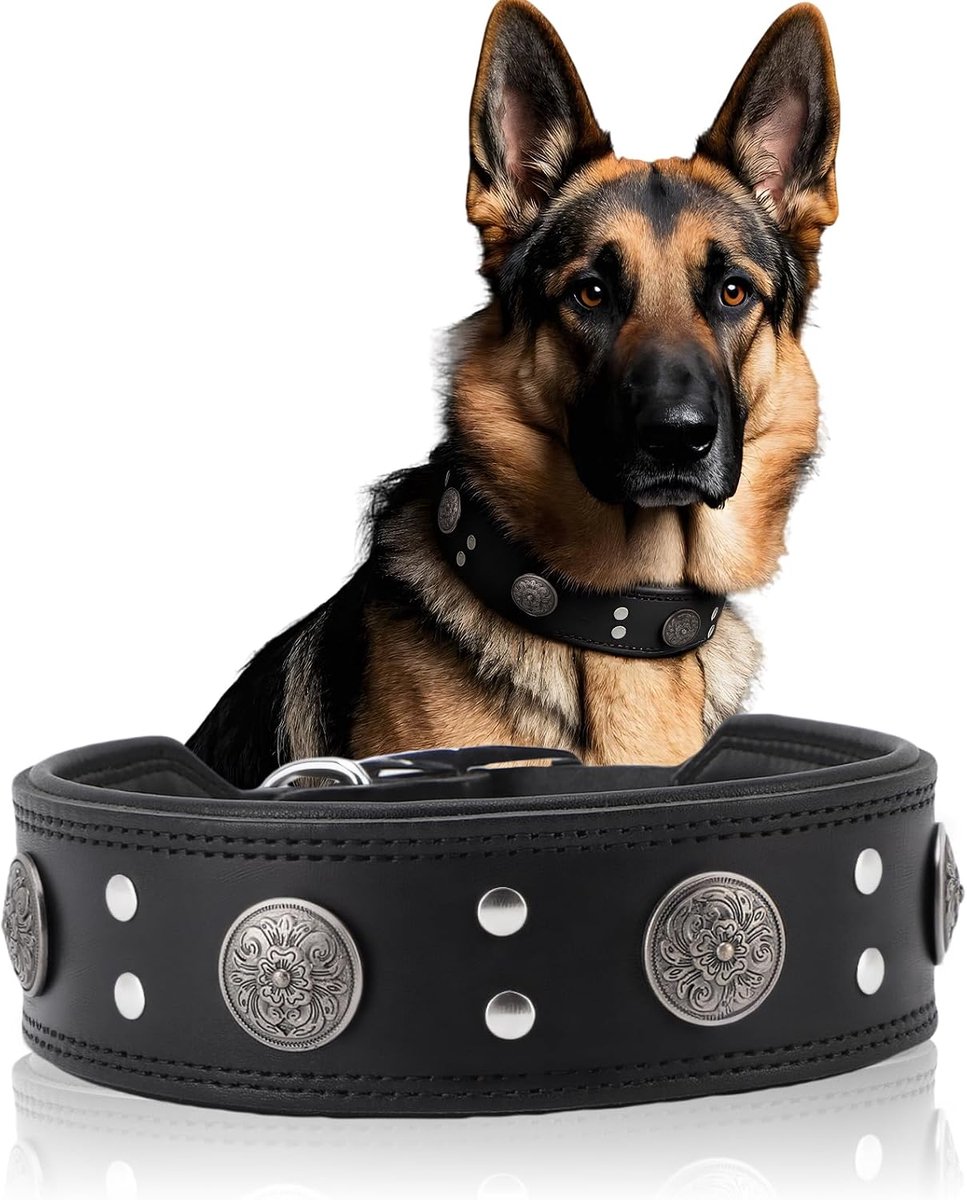hondenhalsband, 5 cm breed, verstelbare hondenhalsband met metalen gesp, brede halsband voor grote en middelgrote hondenrassen (zwart, XL)