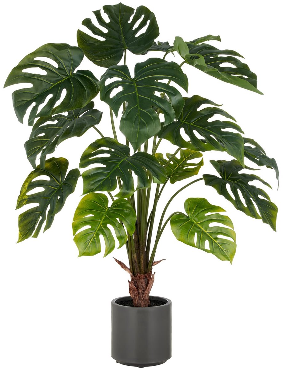Gasper Split Philodendron groen 100 cm