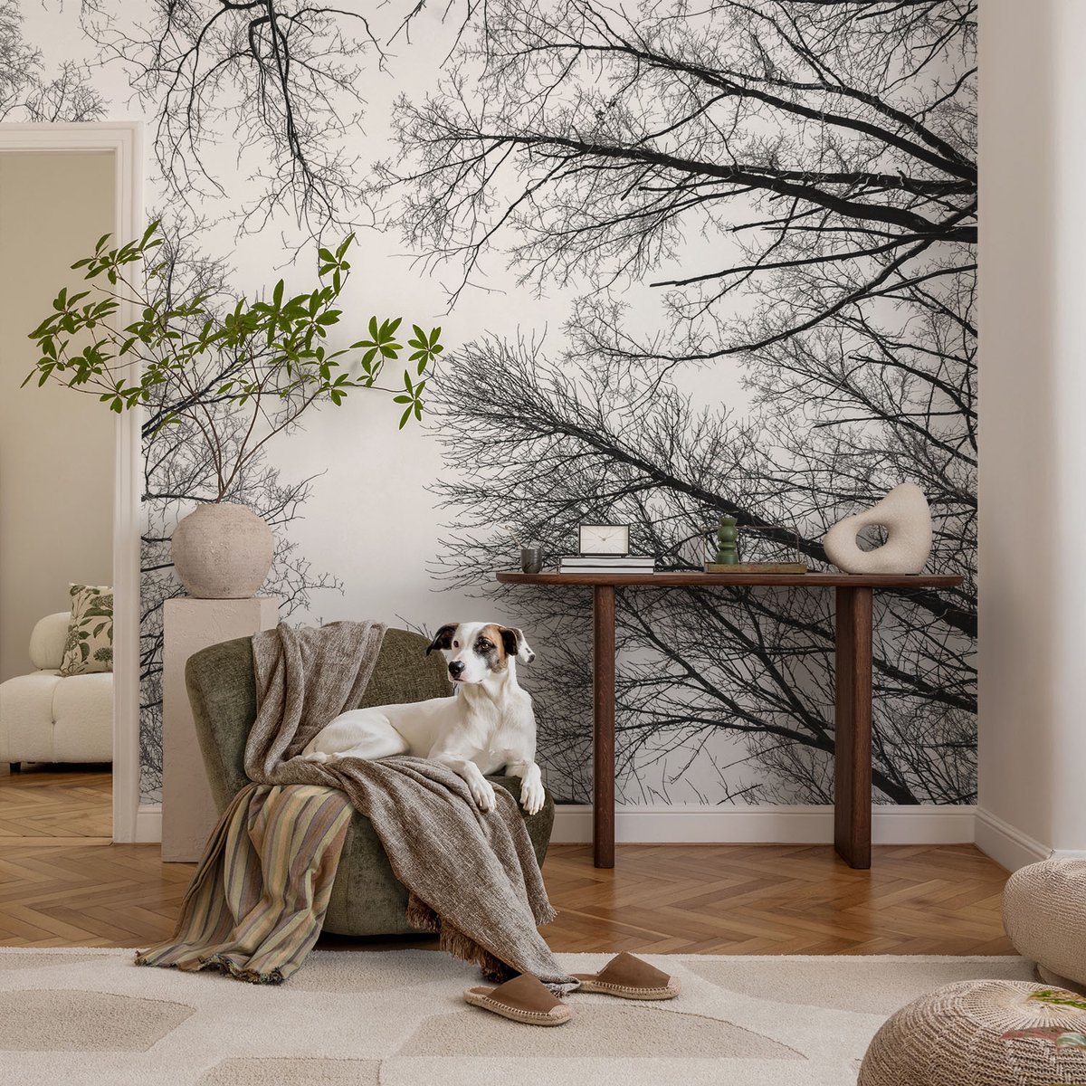 Coloray Vliesbehang - Zwart-Wit Snellijm Behang - 104x70 cm - Kale Takken Muurschildering - Gang behang Landschappen - Fotobehang Vlies - Slaapkamer behang