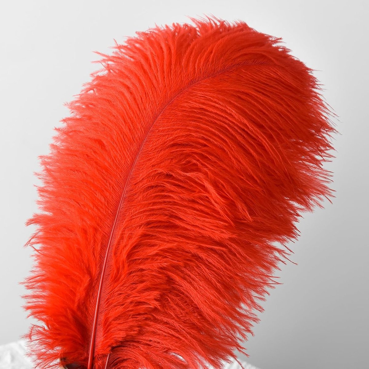 Veren voor jurken, huis- en bruiloftsdecoratie, vazen, doe-het-zelf, lang (rood)