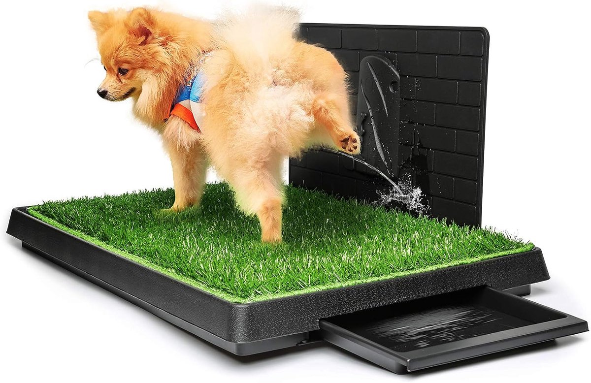 Hondentoilet indoor puppy trainingskussen, hond potje huisdier training grasmat, verwijderbare afvalbak voor eenvoudiger opruimen, niet-giftig kunstgras, (76 x 51 cm)