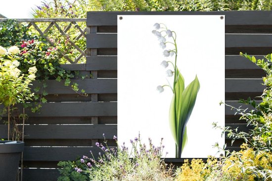 Tuinposter 120x160 cm - Tuindecoratie Een portretbeeld van een Lelietje van Dalen - Poster voor in de tuin - Buiten decoratie - Schutting tuinschilderij - Tuindoek muurdecoratie - Wanddecoratie balkondoek