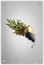 Tuinposter “Ananas” - “80x120cm” - poster tuin