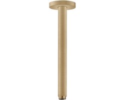 Foto: Hansgrohe raindance e douchearm plafond 30 cm brushed bronze