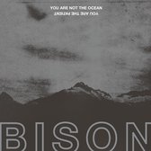 Bison - You Are Not The Ocean You Are The Patient (LP)
