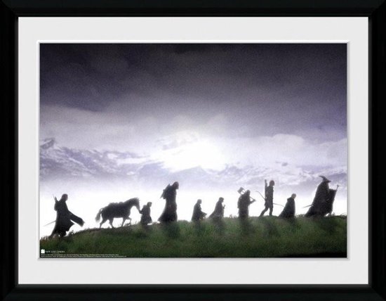 Gb Eye Poster In Lijst Lord Of The Rings Fellowship 30 X 40 Cm