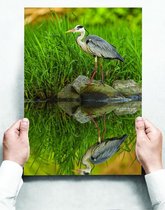 Wandbord: Stille grijze reiger op een steen aan een meer - 30 x 42 cm