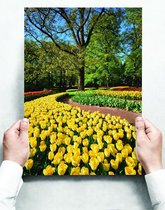 Wandbord: Veld met gele en rode tulpen - 30 x 42 cm