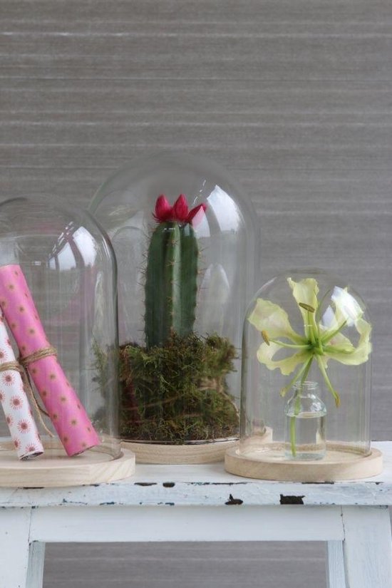 Sokkel met plexiglas kap | Plexiglas sokkel | Vitrine sokkel | Maatwerk