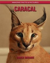 Caracal