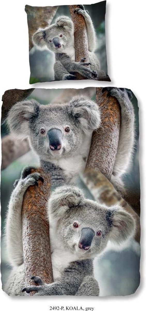 Dekbedovertrek Koala - Default - Katoen - Meerkleurig | Multi | Multicolor  - Good Morning | bol.