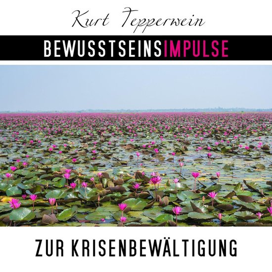 Bewusstseinsimpulse zur Krisenbewältigung - cover