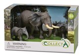 Collecta  Gift Set / Wilde dieren: AFRIKAANSE OLIFANT met 2 KALVEREN in geschenkdoos 22x13x13cm, 3+