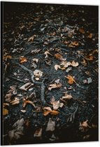 Dibond –Herfstbladeren in het Bos– 80x120cm Foto op Aluminium (Met Ophangsysteem)