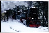 Dibond –Stoomtrein in de Sneeuw– 150x100 Foto op Aluminium (Met Ophangsysteem)