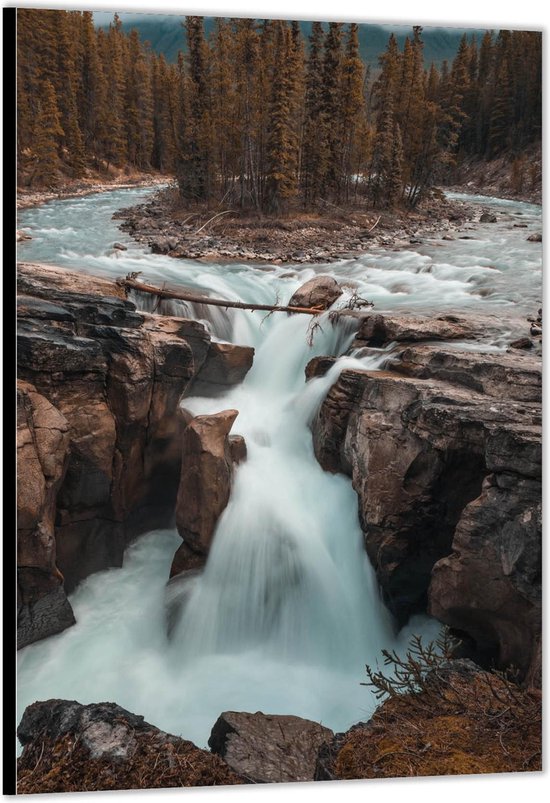 Dibond –Watervallen in het Bos– 40x60 Foto op Aluminium (Wanddecoratie van metaal)