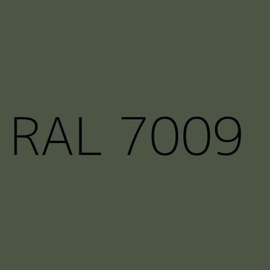 Rayant muurverf Extra Mat Voor buiten en binnen - 5 liter - Kleur Groengrijs  (RAL 7009) | bol.com