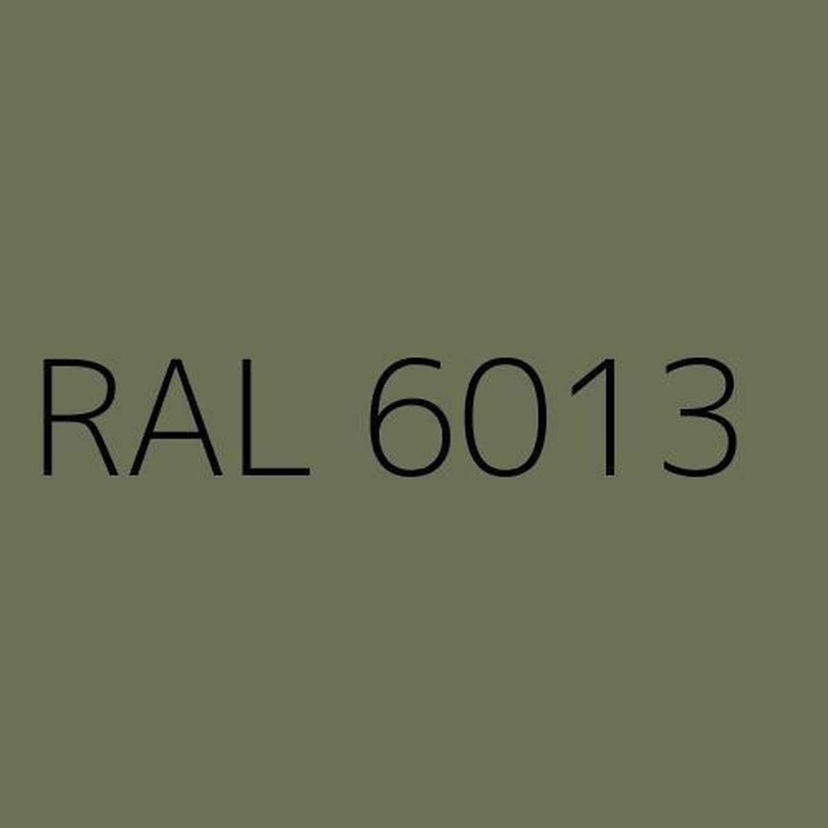 Rayant muurverf Extra Mat Voor buiten en binnen - 5 liter - Kleur Rietgroen  (RAL 6013) | bol