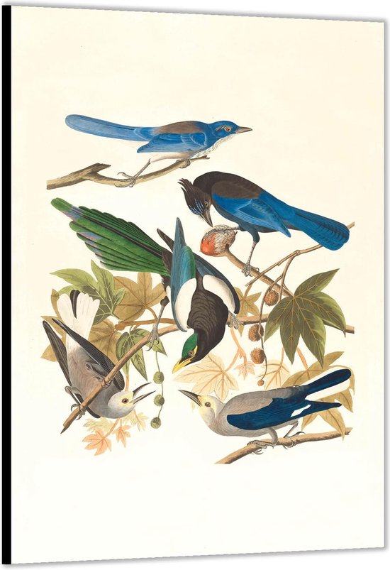 Dibond –Blauwe met Grijze vogels op Takjes getekend– 80x120 Foto op Aluminium (Wanddecoratie van metaal)