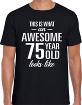 Awesome 75 year / 75 jaar cadeau t-shirt zwart heren S