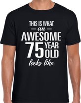 Awesome 75 year / 75 jaar cadeau t-shirt zwart heren XL