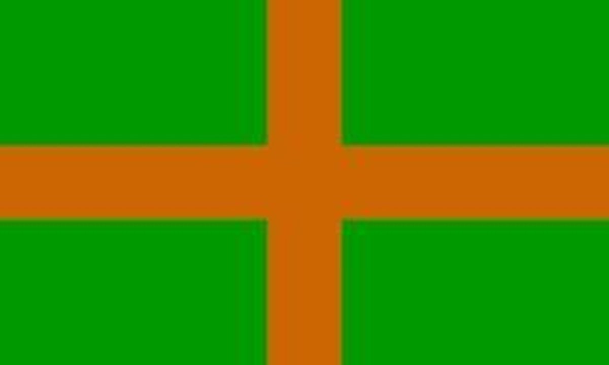 Vlag Nijmeegse Vierdaagse 100x150cm | bol.com